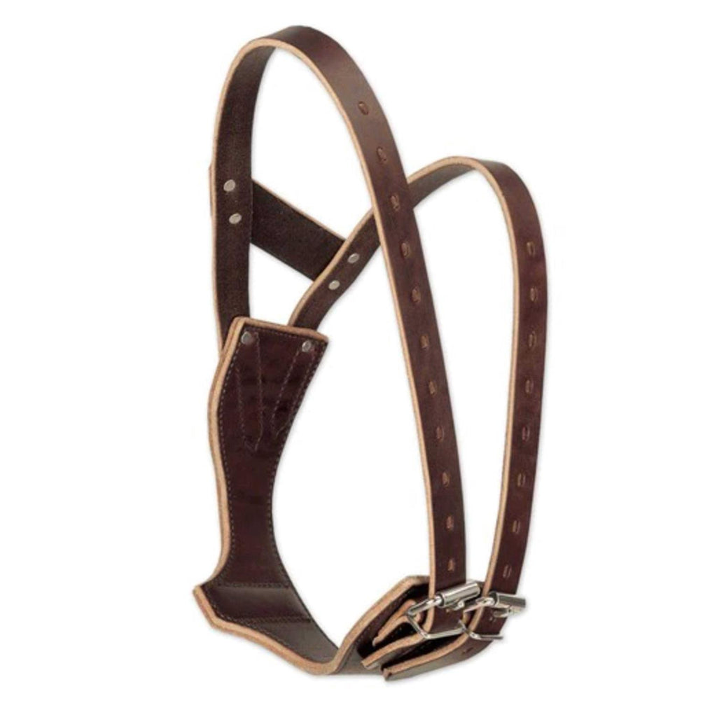 Leather Collar G73914