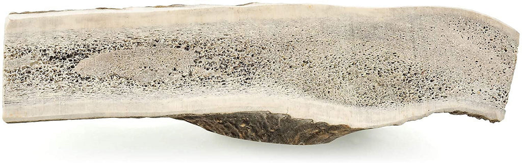 Elk Antler Dog Chews N392540