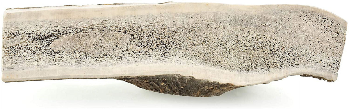 Elk Antler Dog Chews N392540