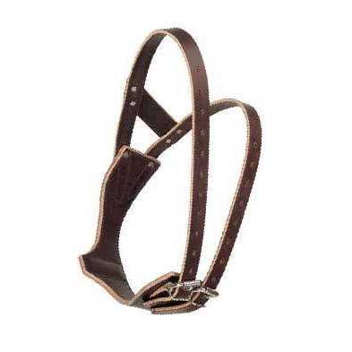 Leather Collar G73914