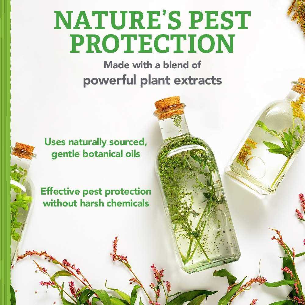 Flea & Tick Spray for Dogs and Cats Y545962