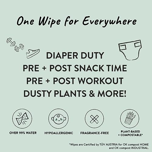 Unscented 99% Water Compostable Plant-Based Baby Wipes 720 Count Y64731