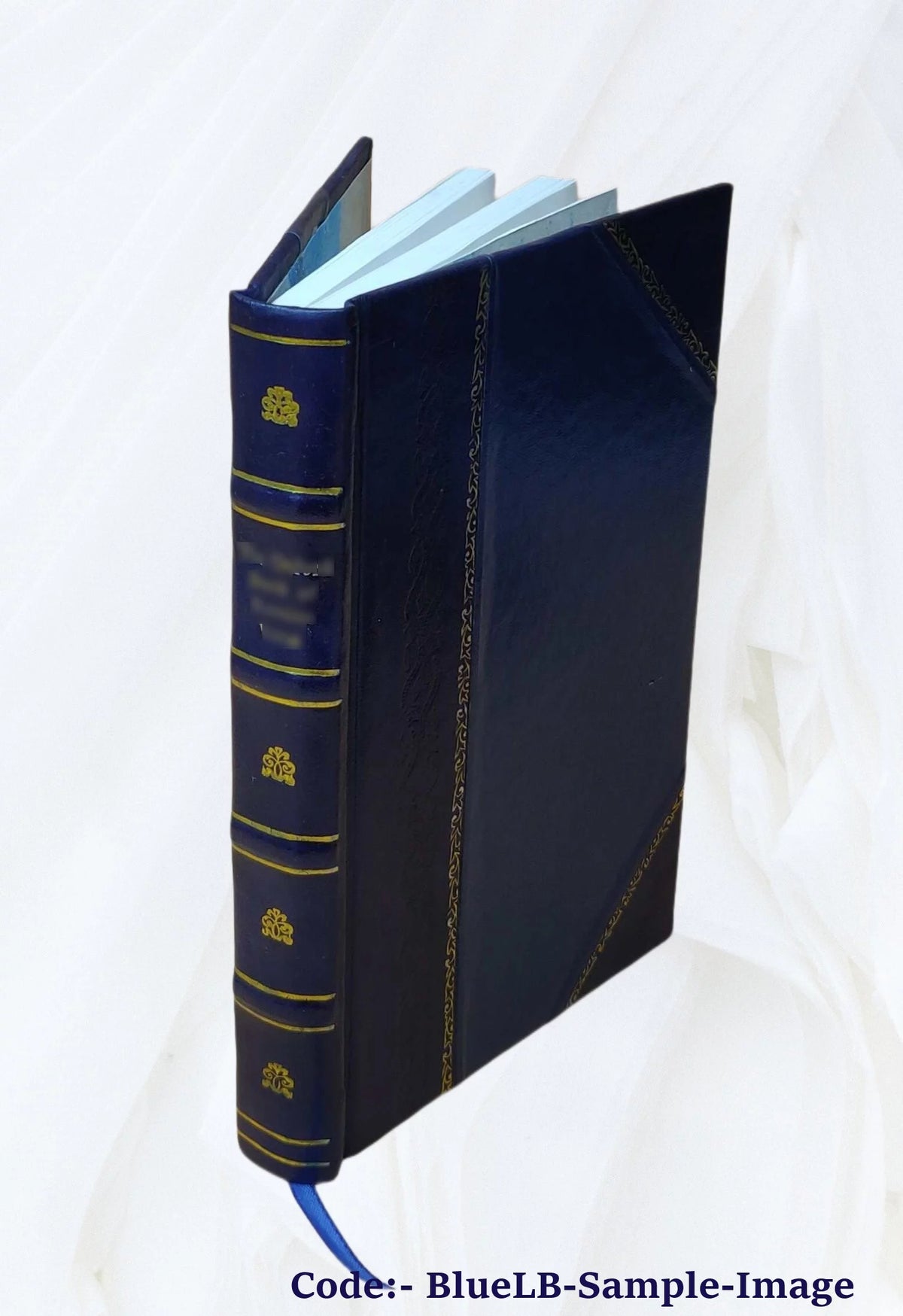 Leather Bound N66008