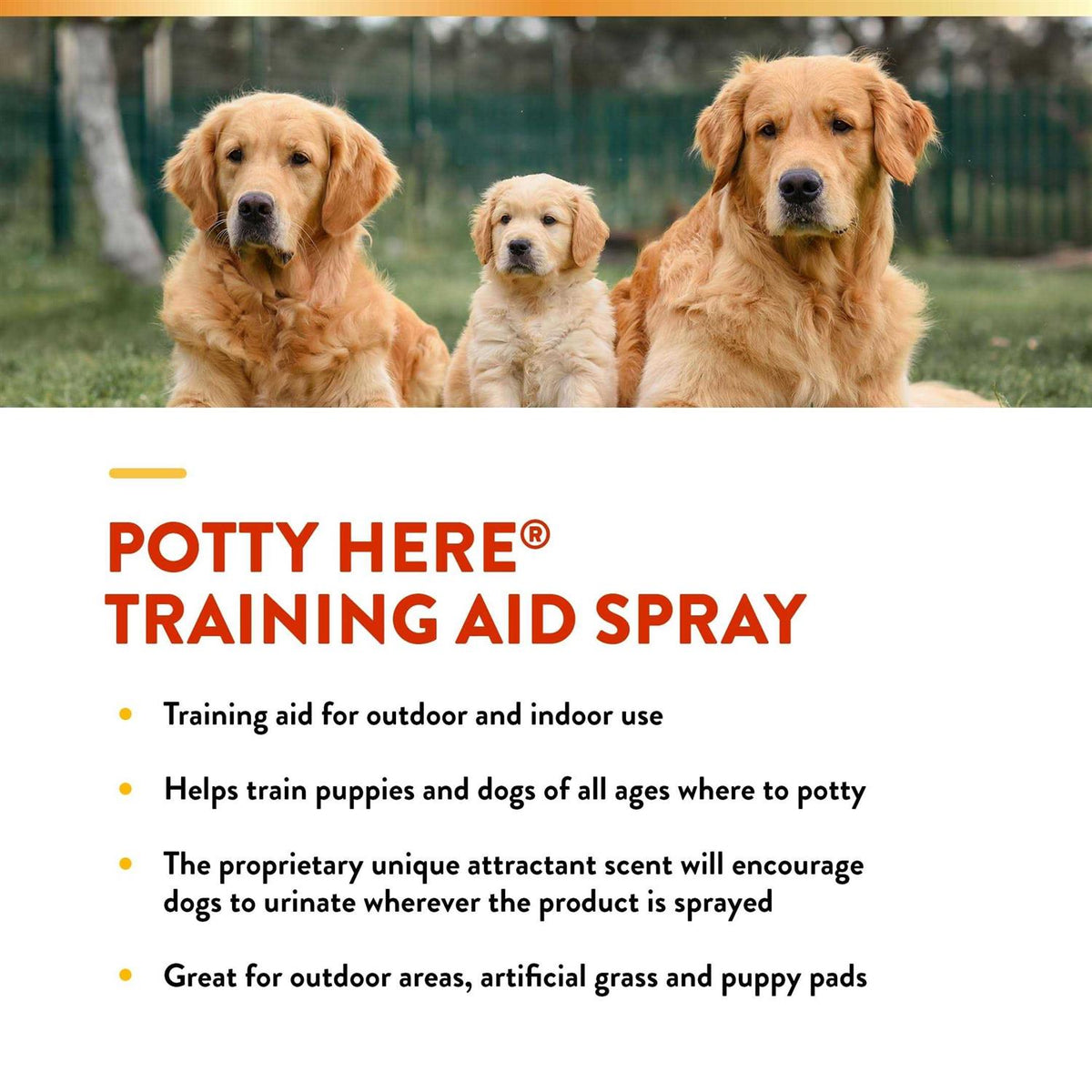 Potty Training Aid Spray N8291