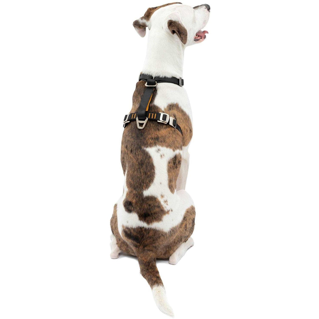 Dog Harness E719