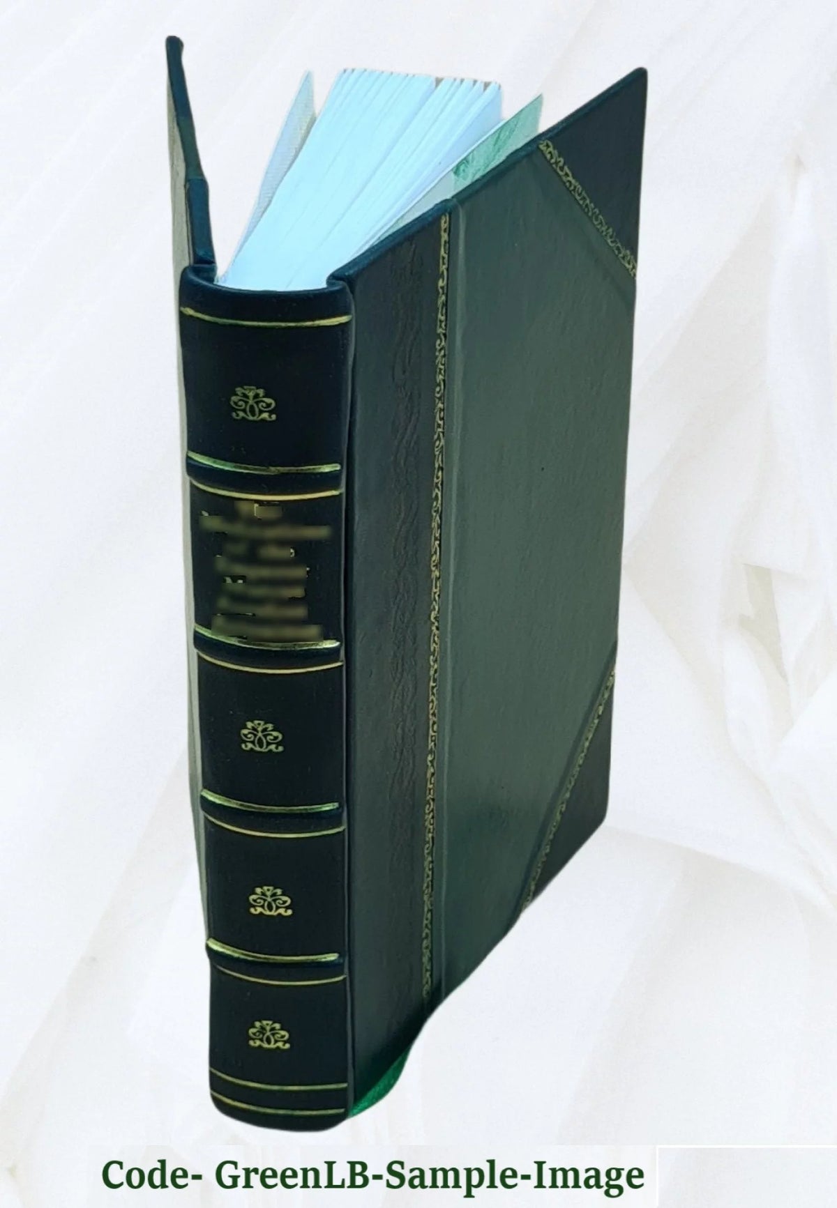 Leather Bound N66008