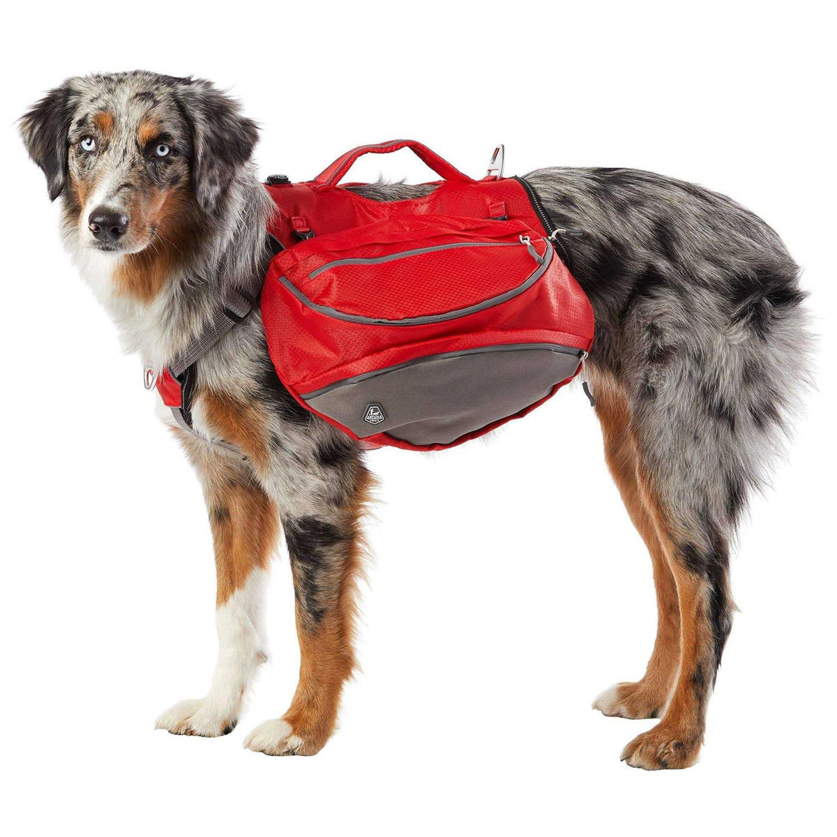 Backpack Harness K37943