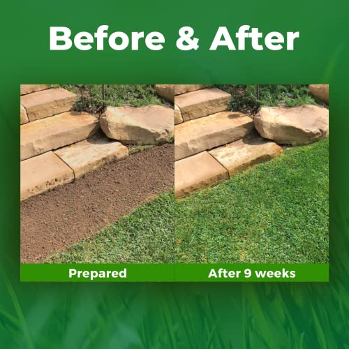 Biodegradable Grass Seed 50 SQFT Bermuda Rye X466