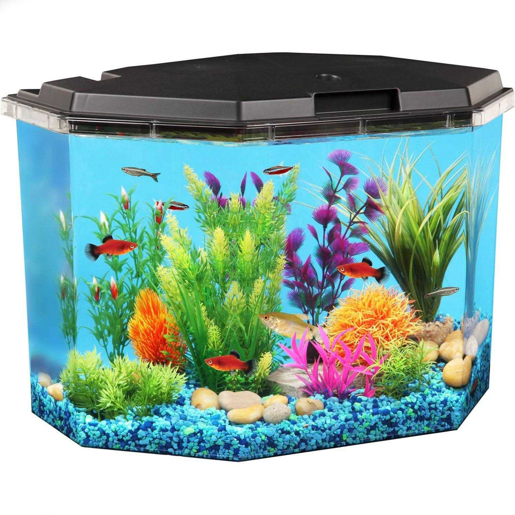6.5-Gallon Semi-Hex Aquarium Kit with LED Lighting T26291