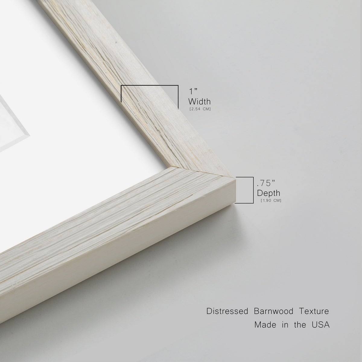Framed Print 31X44 Grey N5568