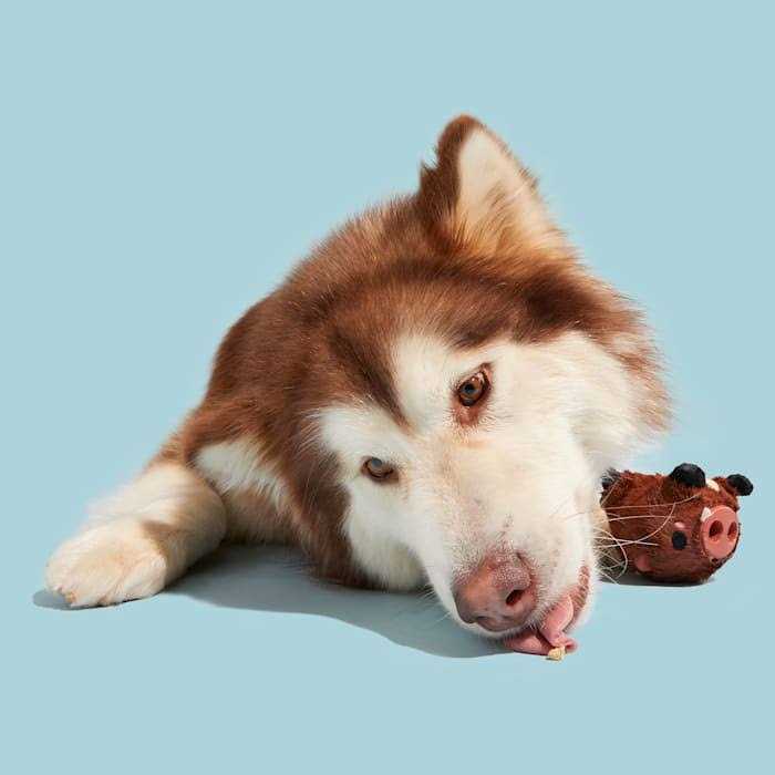 Super Chewer Dog Toy B174