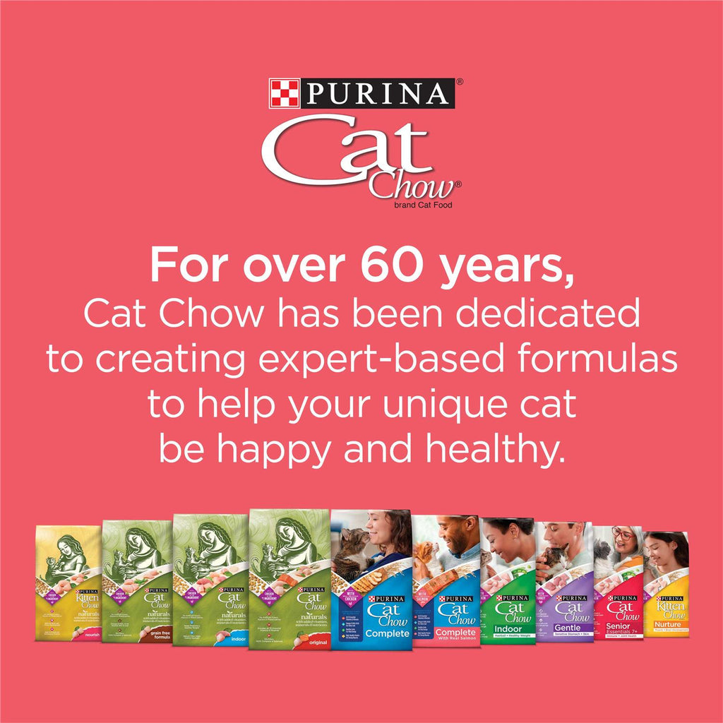 Salmon High Protein Dry Cat Food K164