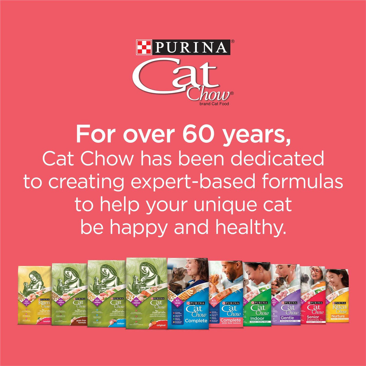 Salmon High Protein Dry Cat Food K164