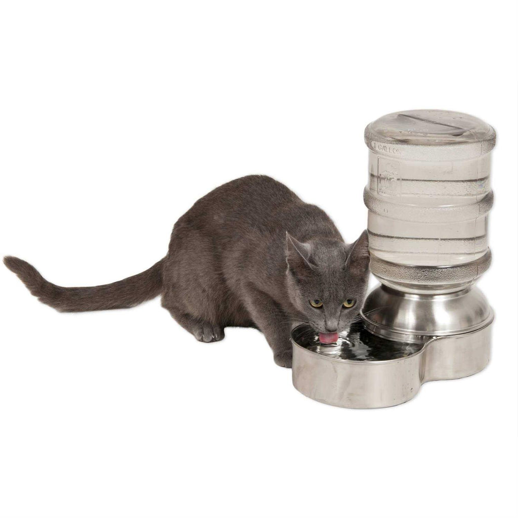 Stainless Steel Waterer X757