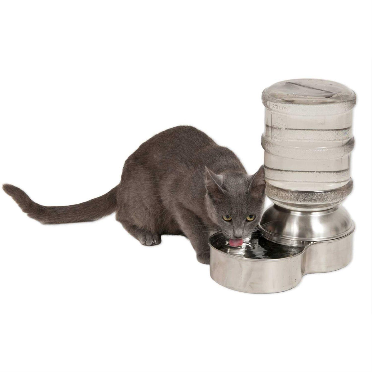 Stainless Steel Waterer X757