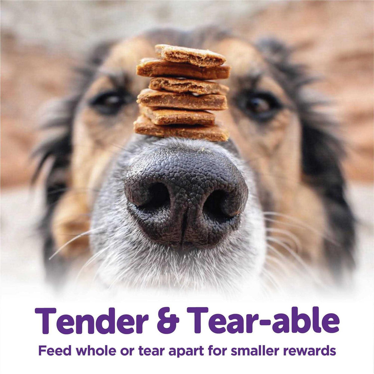 Turkey & Duck Recipe Dog Treats P5228