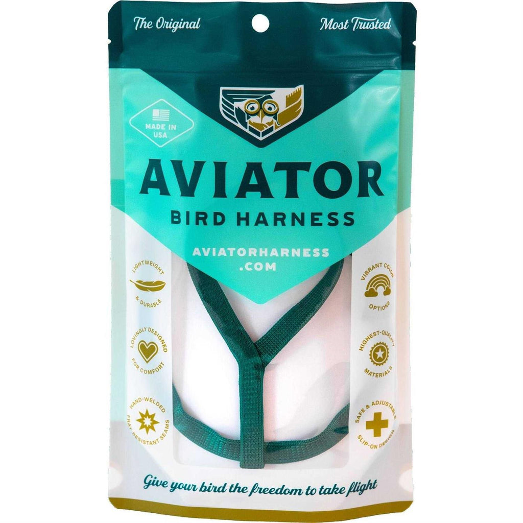 Bird Harness and Leash S238232