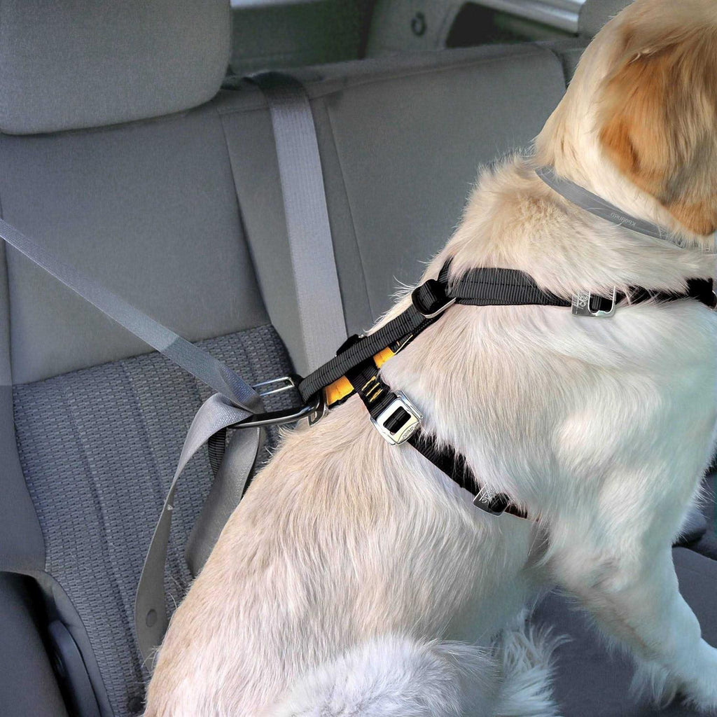 Dog Harness E719