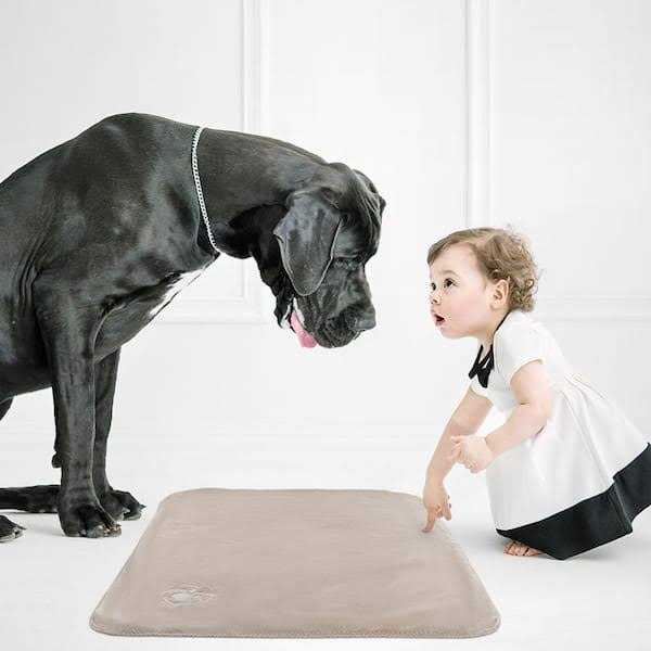 Waterproof Pet Blanket Throw L6818