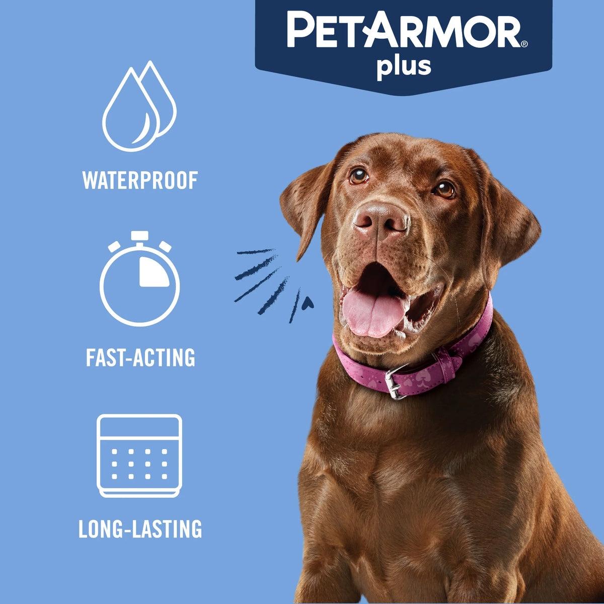 Flea & Tick Prevention for Large Dogs 3 Month Supply R250