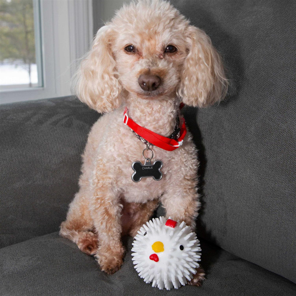 Chicken Dog Ball S456