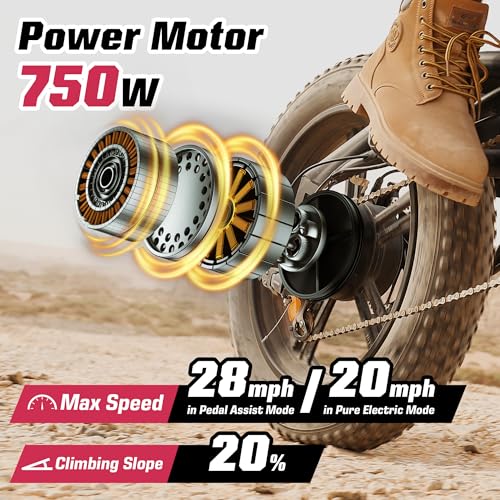 Electric Bike for Adults 48V 750W Peak 20" Fat Tires J92704