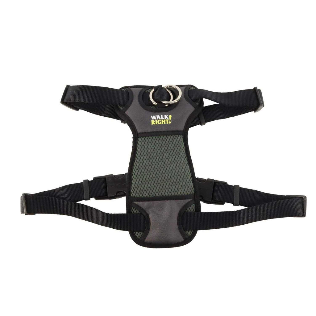 Padded Harness C3751