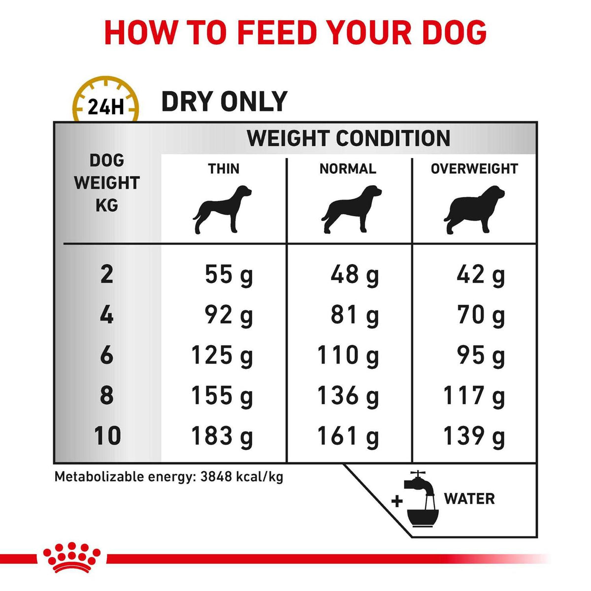Small Dog Food D16792