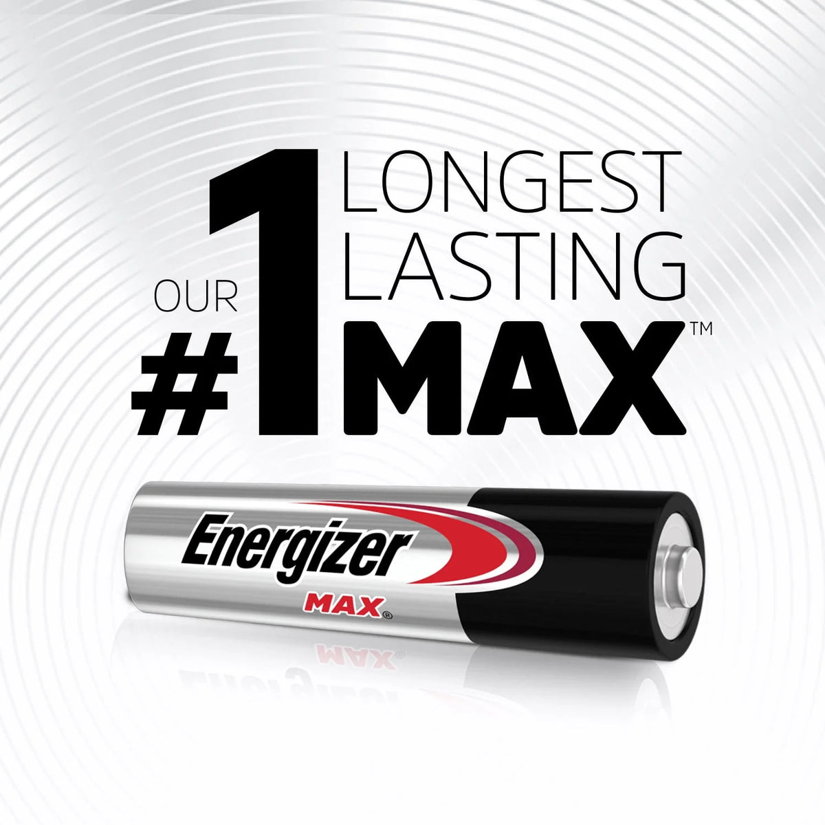 AAA Alkaline Batteries 48 Pack G4449