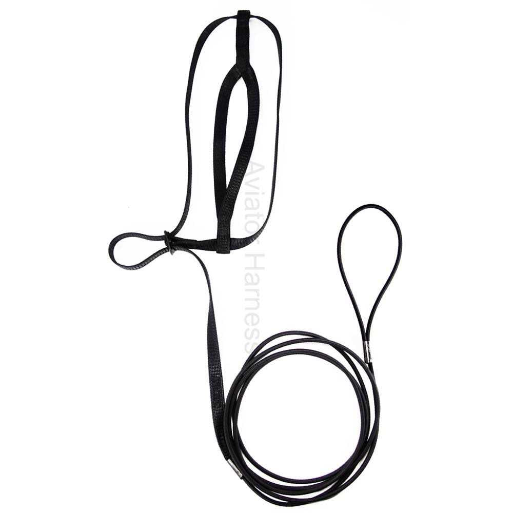Bird Harness and Leash S238232