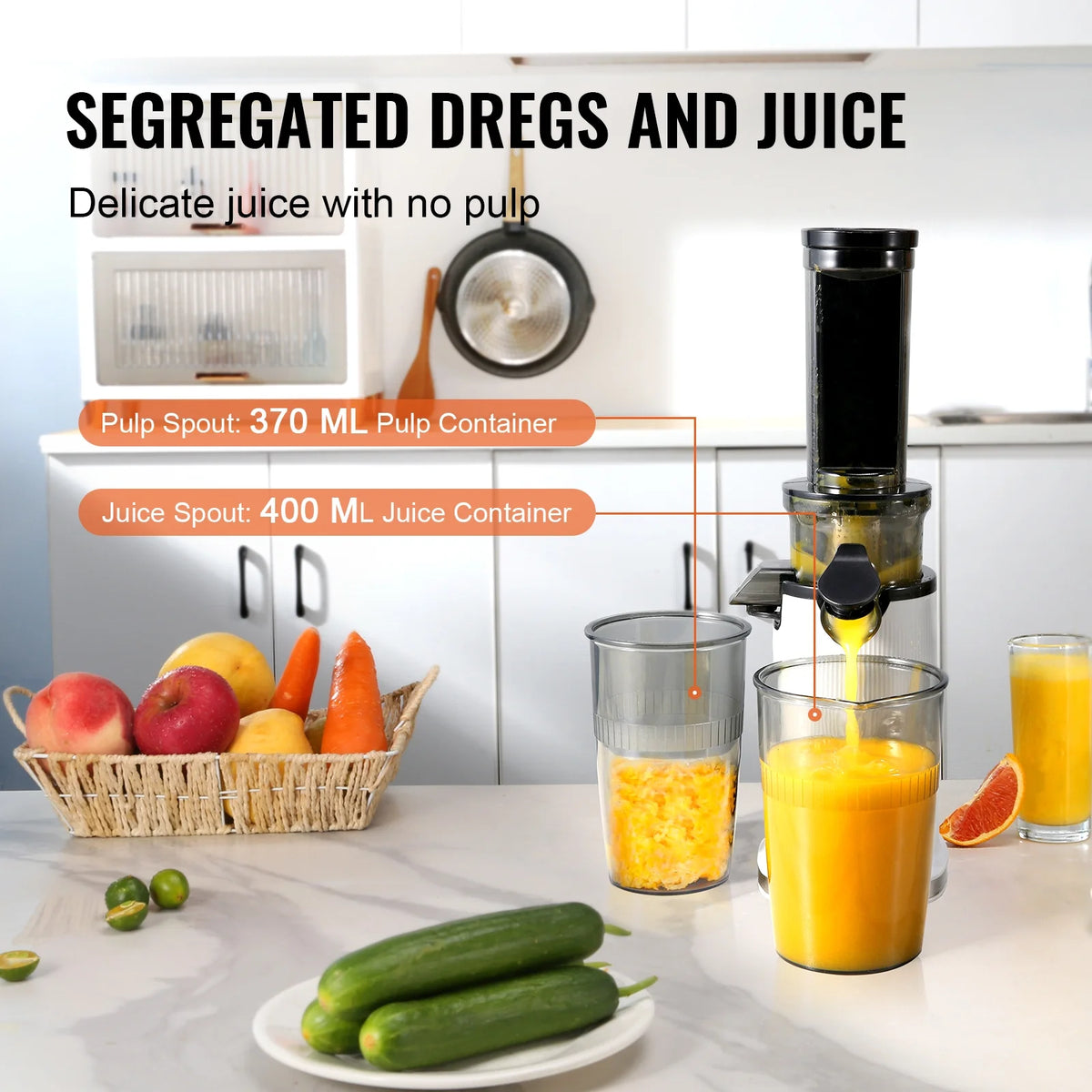 Masticating Slow Juicer Electric Cold Press Squeezer S848531