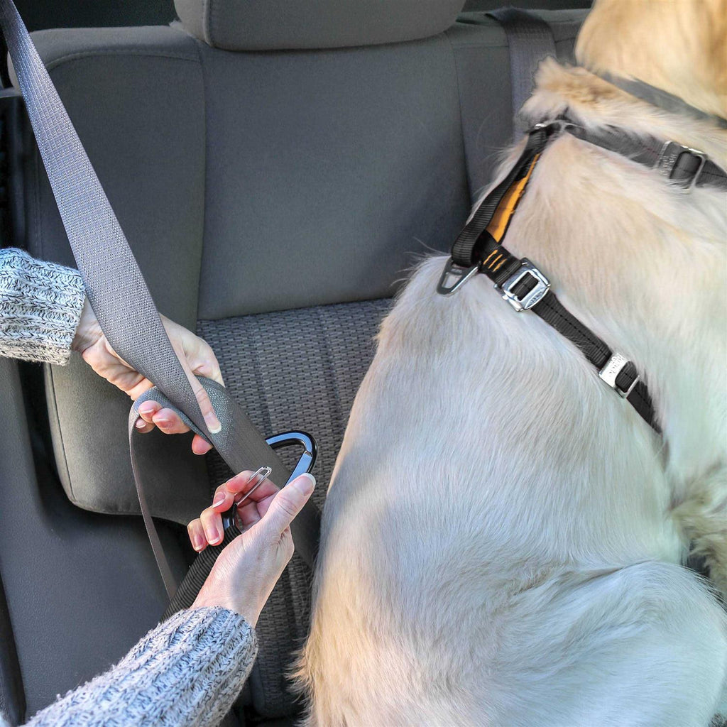 Dog Harness E719
