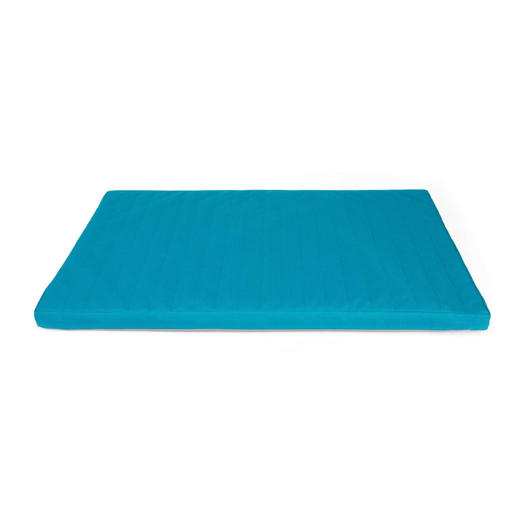 Teal Dog Mat P8805
