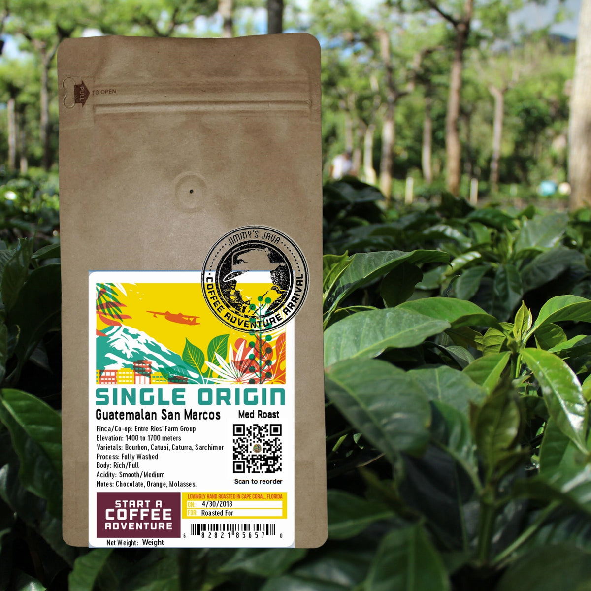Medium Roast Guatemalan SHB San Marcos Coffee V7449