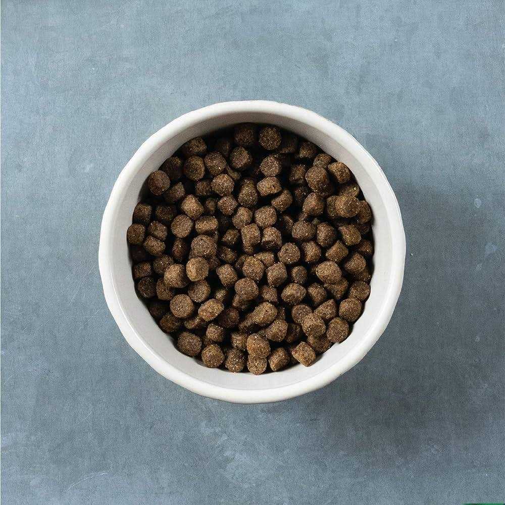 Grain Free Turkey and Sweet Potato Dog Food O1562