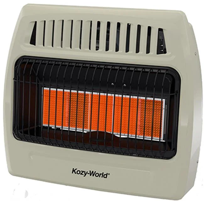 30,000 BTU Infrared Liquid Propane Gas Wall Heater X1467