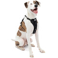 Dog Harness E719