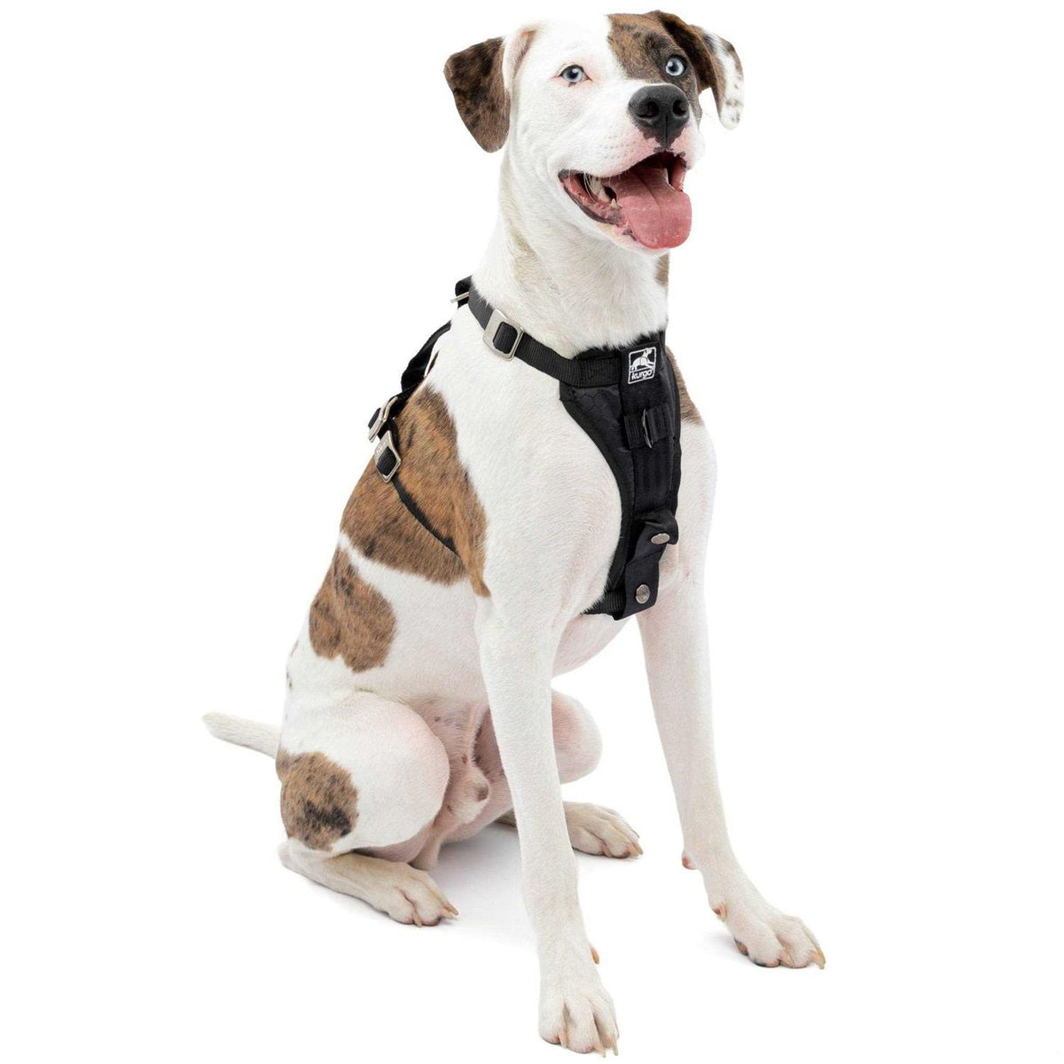 Dog Harness E719