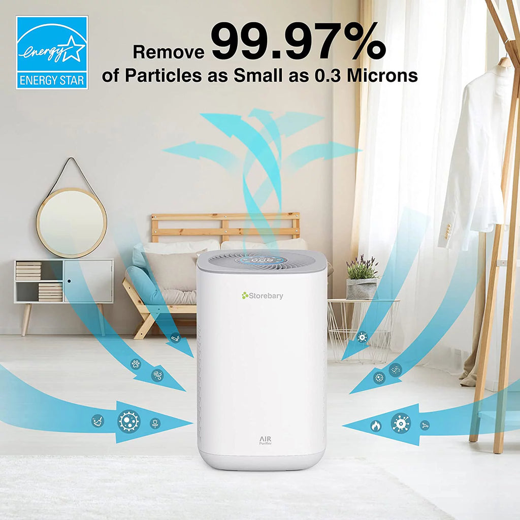C350 Air Purifier with H13 True HEPA Filter C1658