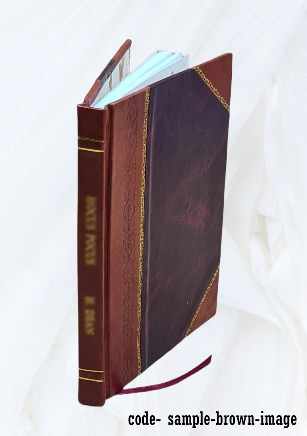 Brazilian Satire 1872 Leather Bound Q56355