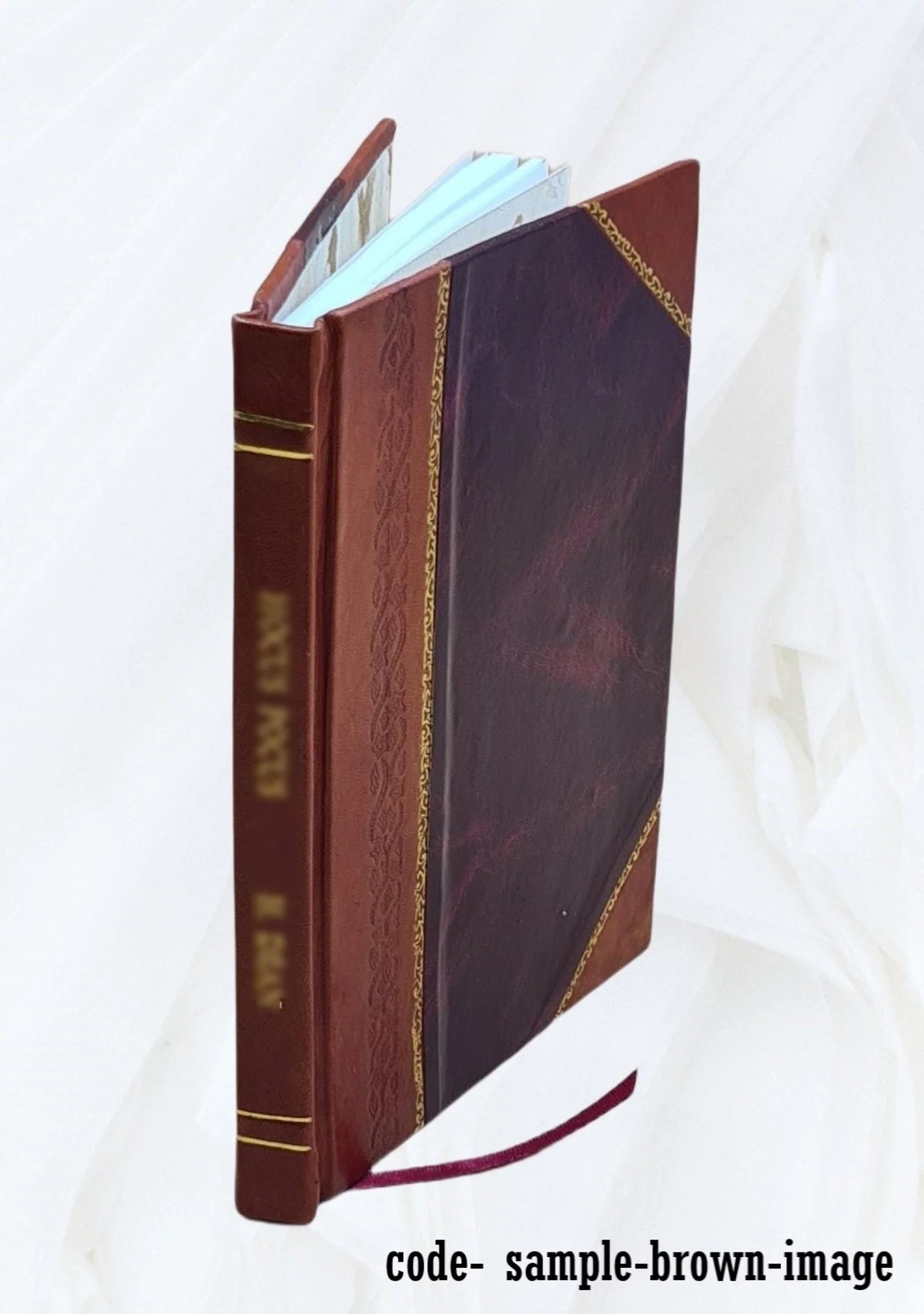 Brazilian Satire 1872 Leather Bound Q56355
