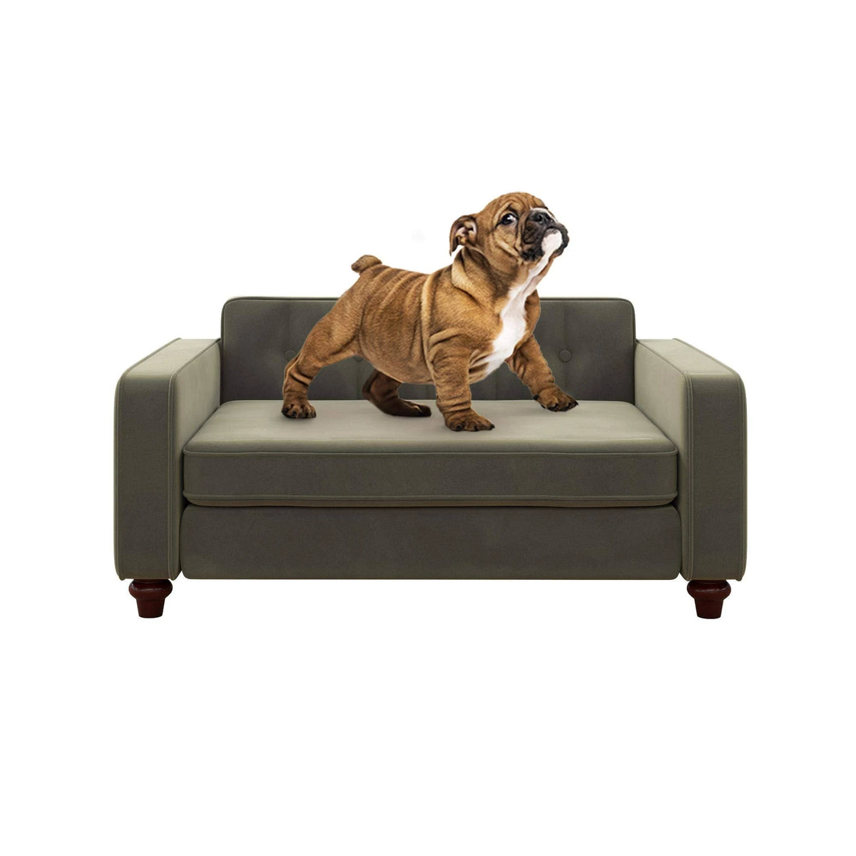 Gray Velvet Pet Sofa R877