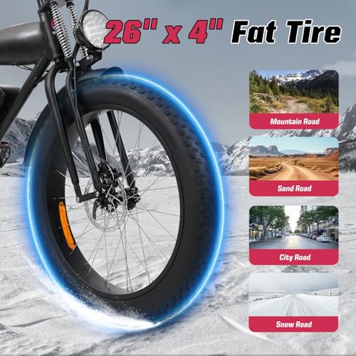 Electric Bike for Adults 48V 750W Peak 20" Fat Tires J92704