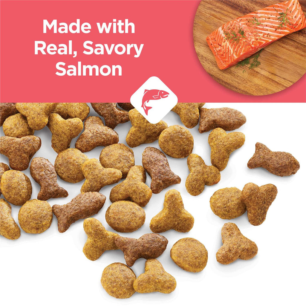 Salmon High Protein Dry Cat Food K164