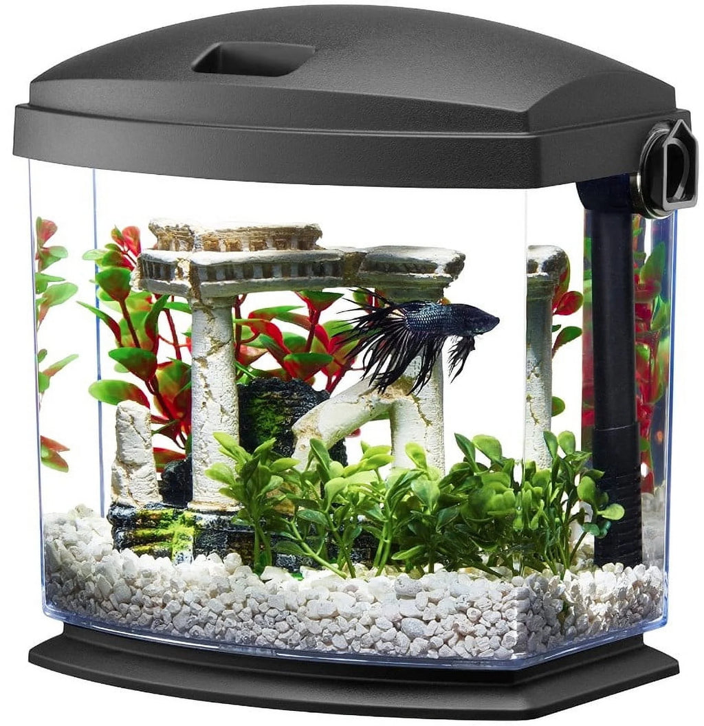 1 Gallon Betta Bow Aquarium U2455