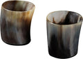 Drinking Horn Shot Glass Pair Y677