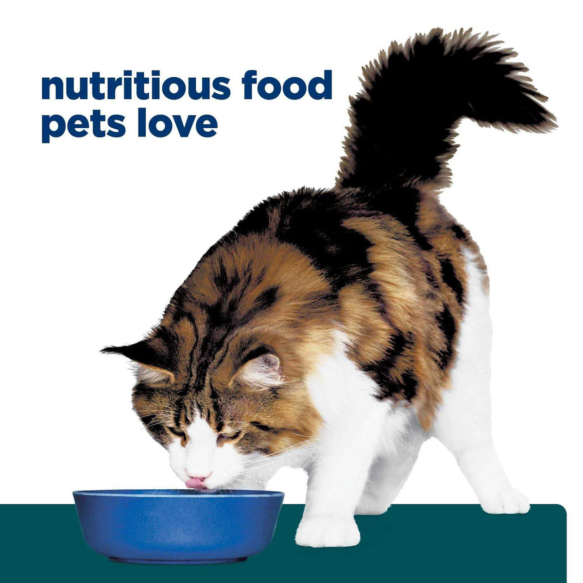 Dry Food C694153