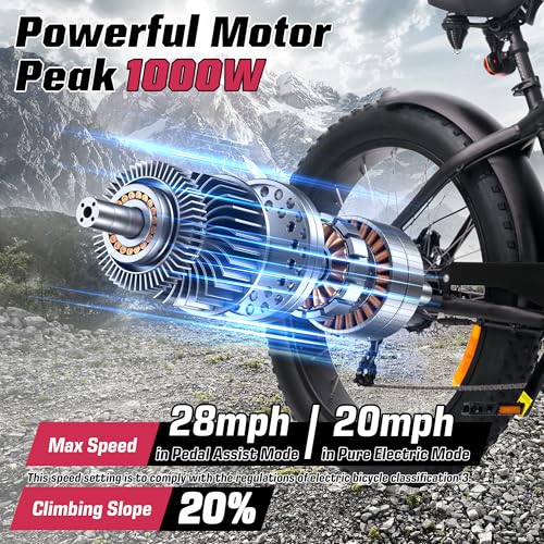 Electric Bike for Adults 48V 750W Peak 20" Fat Tires J92704