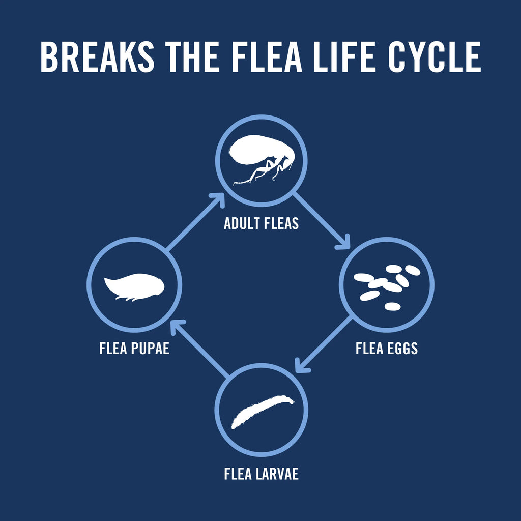 Flea & Tick Prevention for Large Dogs 3 Month Supply R250