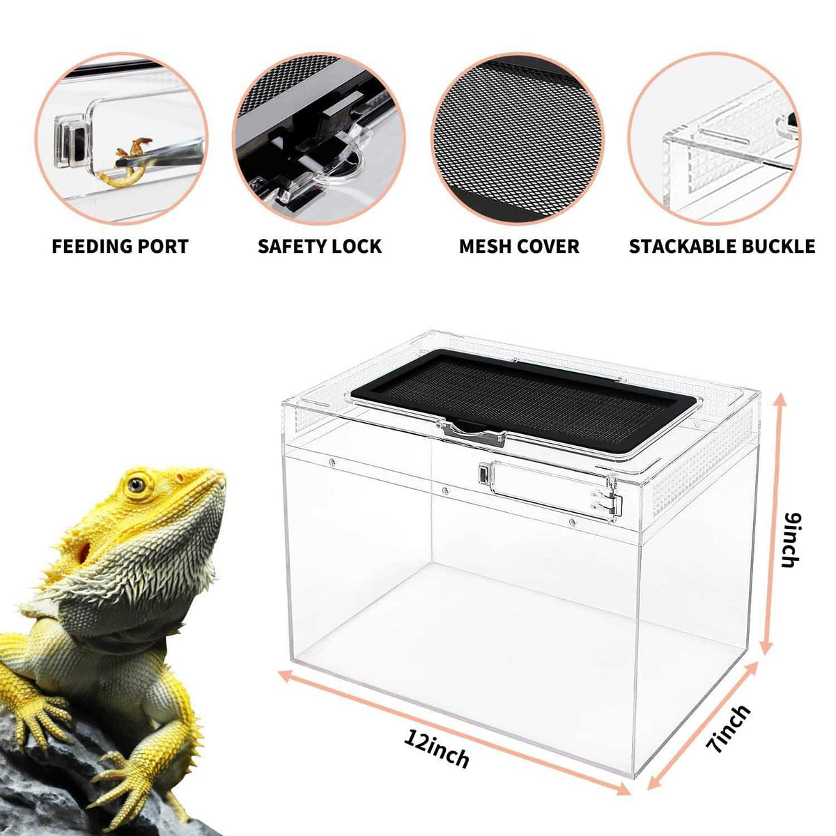 Mini Reptile Terrarium Tank with Full View H115